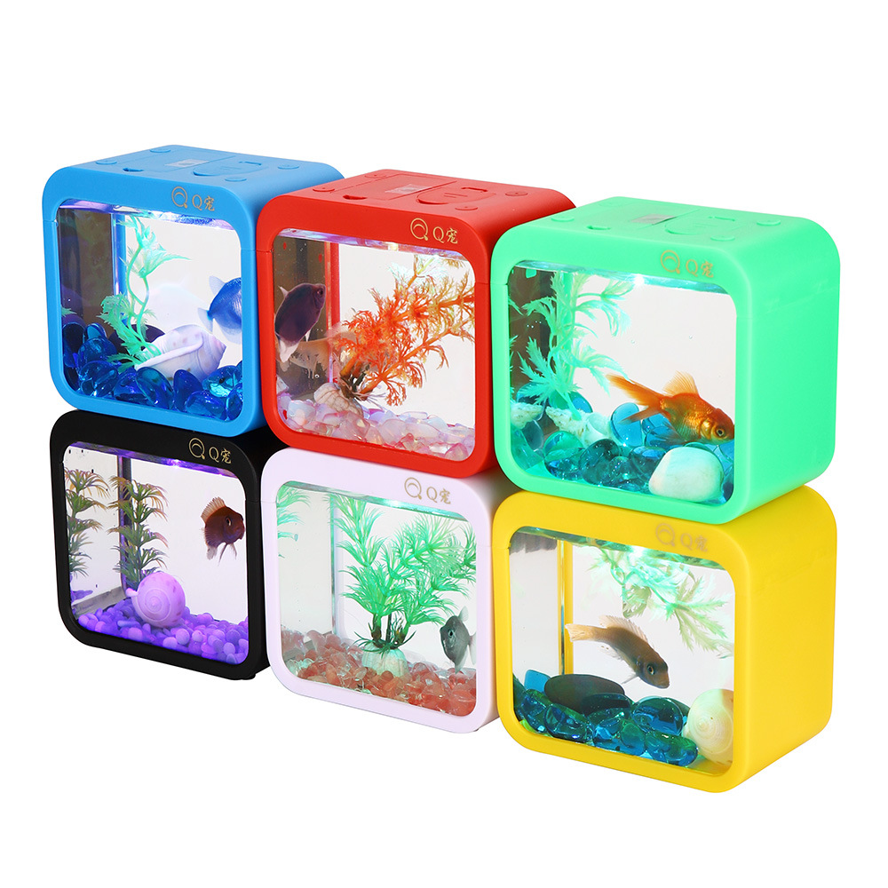Aquarium Goldfish - Kotak cupang kreatif penuh warna dengan