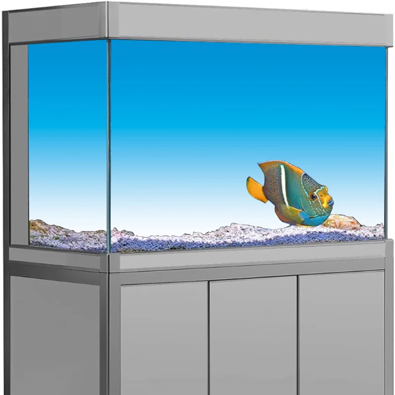 Aquarium Fish Wallpaper Hd - Stiker Latar Belakang Akuarium, Wallpaper Lukisan