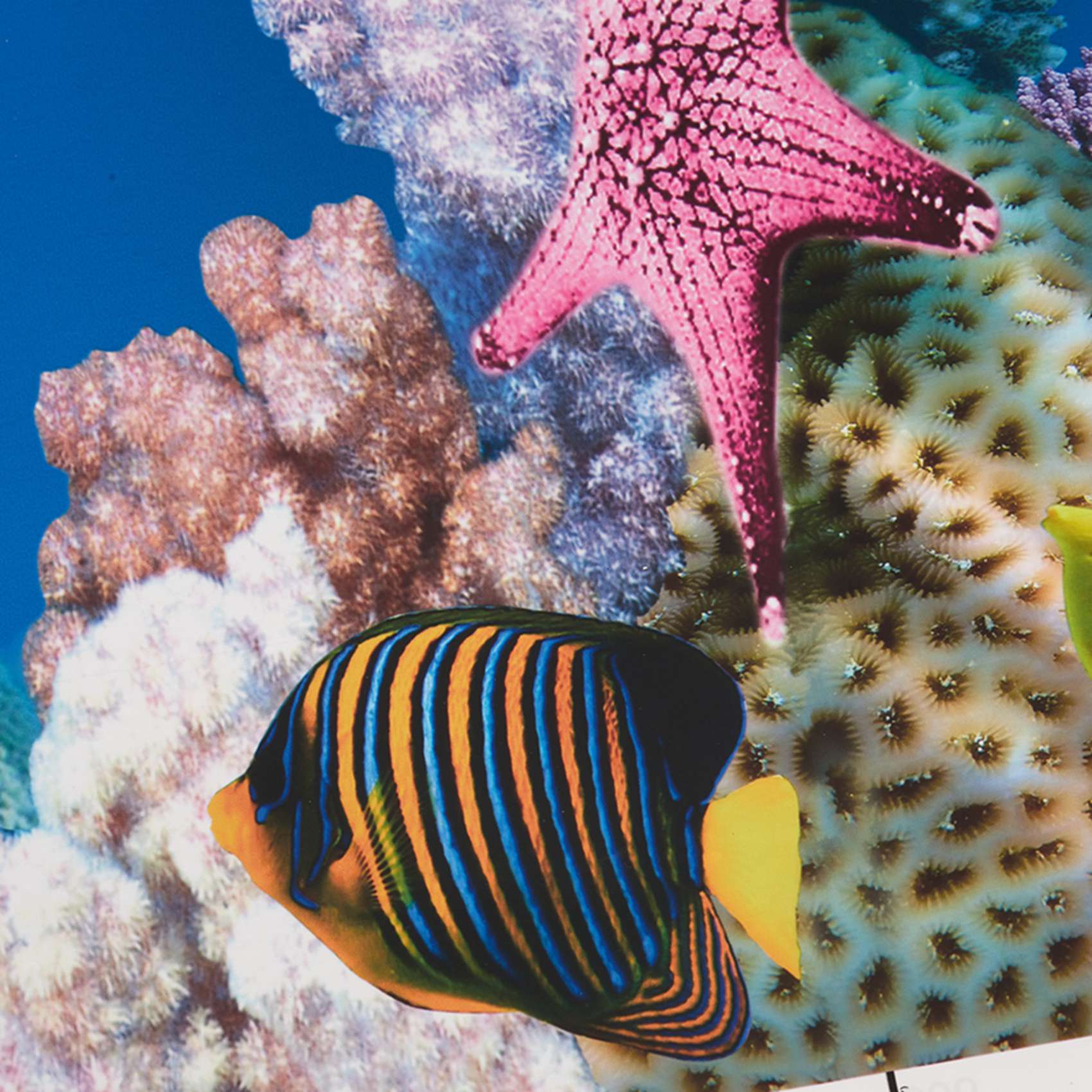 Aquarium Fish Wallpaper Hd - ABWR-Kertas Latar Belakang Akuarium Gambar HD