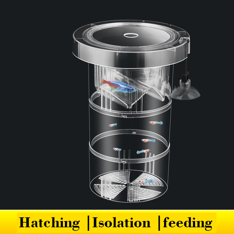 Aquarium Fish Accessories - Kotak Isolasi Pembiakan Ikan Mengambang untuk