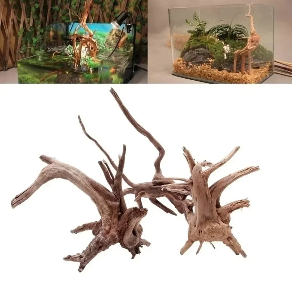 Aquarium Fish Types - Dekorasi Akuarium Kayu Apung Alami 15-20CM