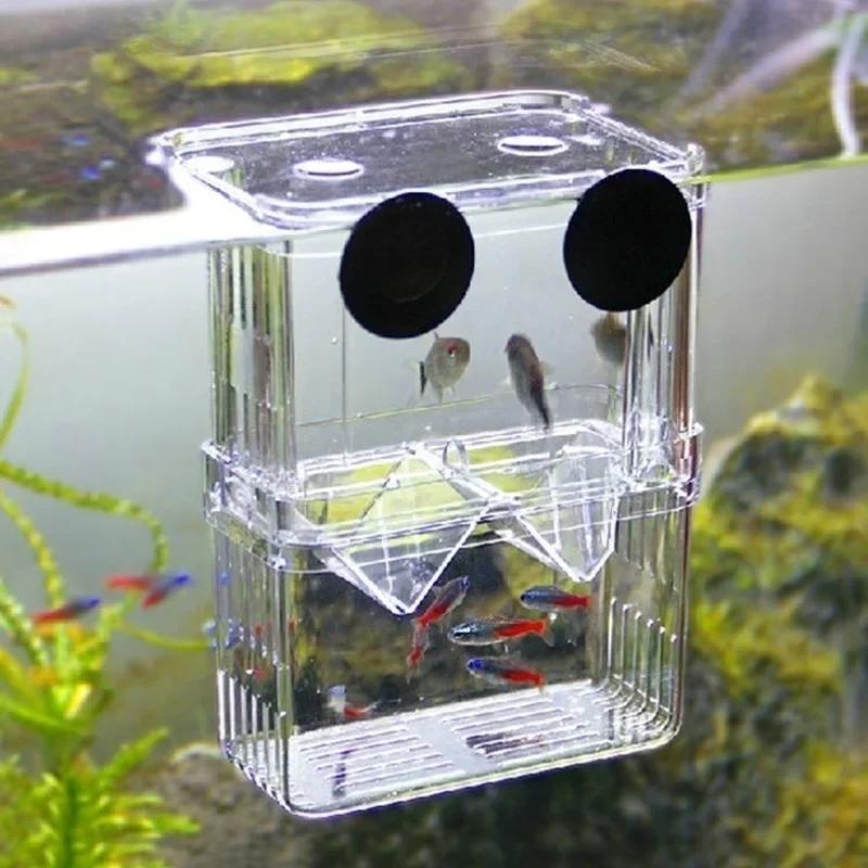 Aquarium Fish Medicine - Kotak Isolasi Pembiakan Jernih Tinggi Akuarium