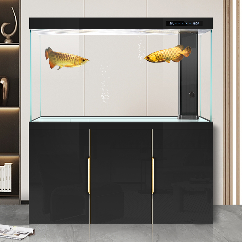Aquarium Fish Dragon - Akuarium ruang tamu 2025 kaca ultra-putih