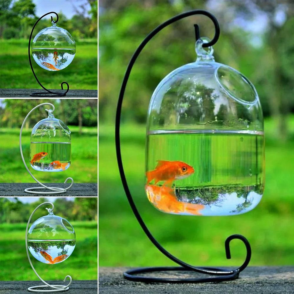 Aquarium Fish Jar - Dekorasi Akuarium Gantung Dinding Dengan Rak