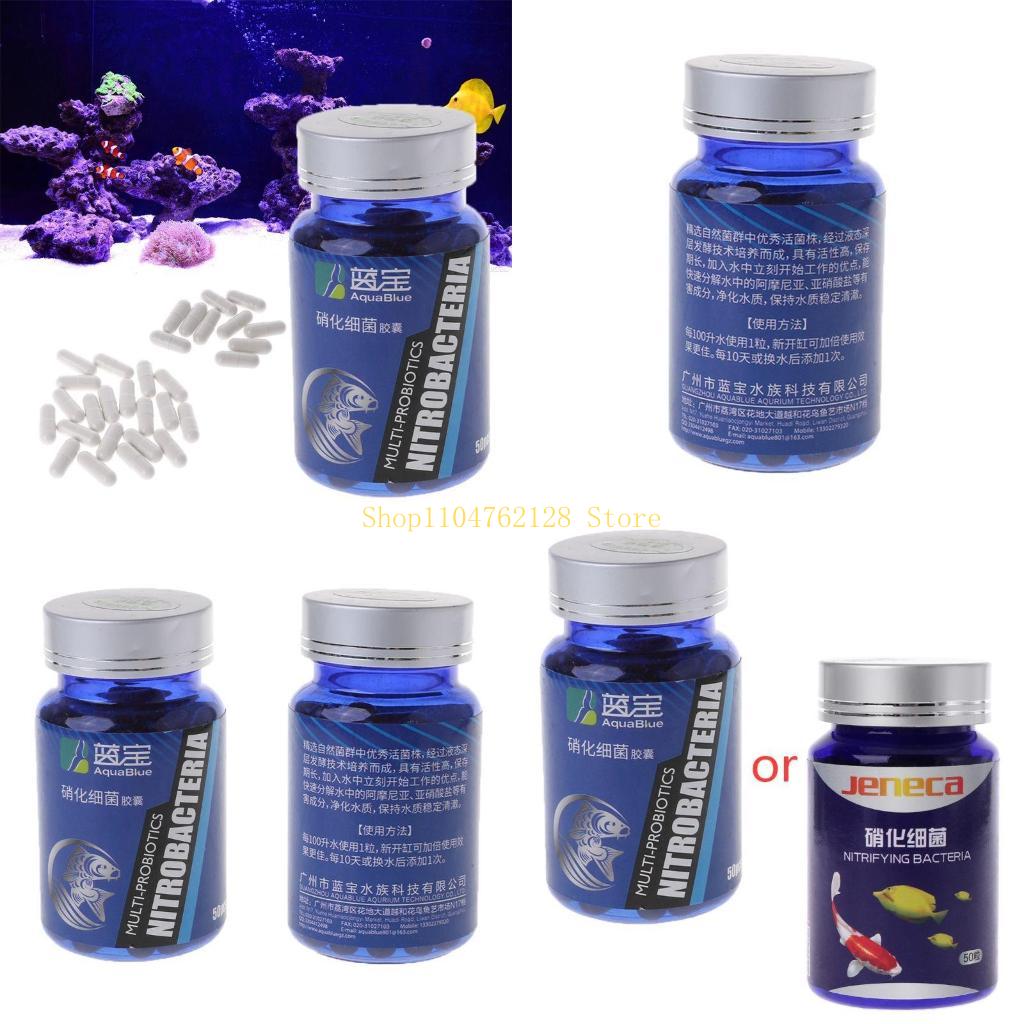 Aquarium Fish Medicine - Kapsul Bakteri Nitrifikasi Pemurnian Biologis Aktivitas