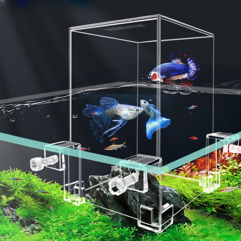 Aquarium Fish Jar - Tangki akuarium kreatif, tangki ikan tekanan
