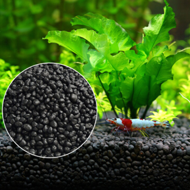 Aquarium Fish Accessories - Bibit Tanaman Akuarium Tanah Tangki Ikan