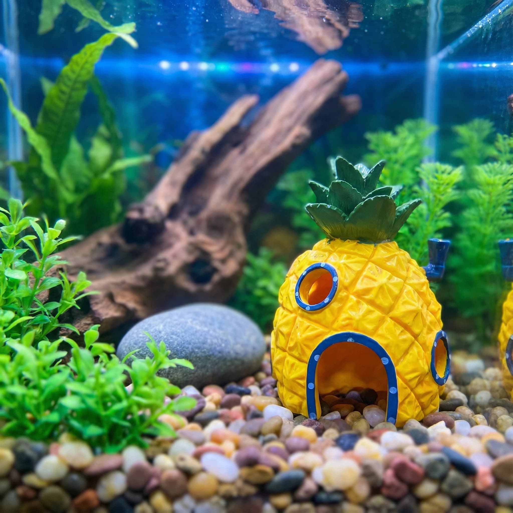 Aquarium Fish Games - Dekorasi Akuarium Rumah Nanas, Gua Persembunyian