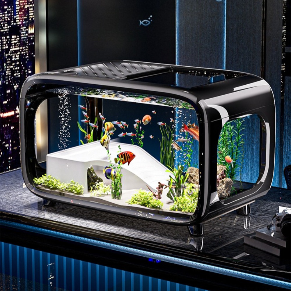 Aquarium Goldfish - Akuarium Ikan Emas Kecil Dekorasi Ruang