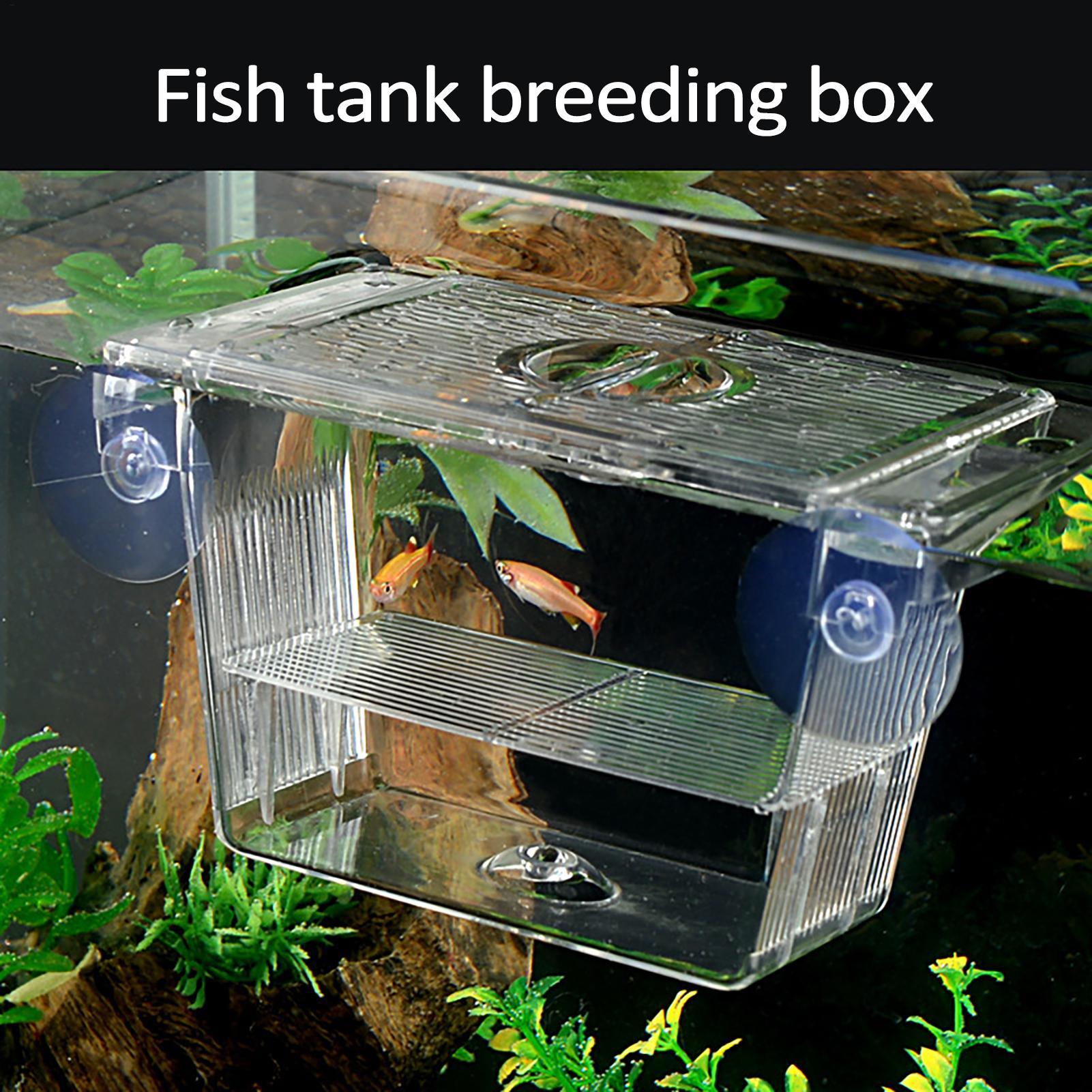 Aquarium Fish Jar - Kotak Pembiakan untuk Akuarium, Kotak Isolasi