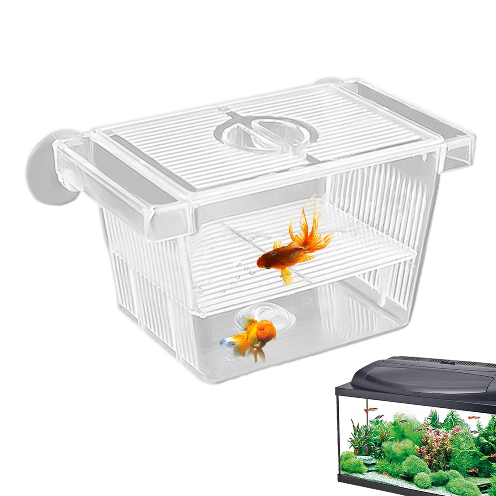 Aquarium Fish Jar - Kotak Isolasi Akrilik untuk Akuarium, Kotak