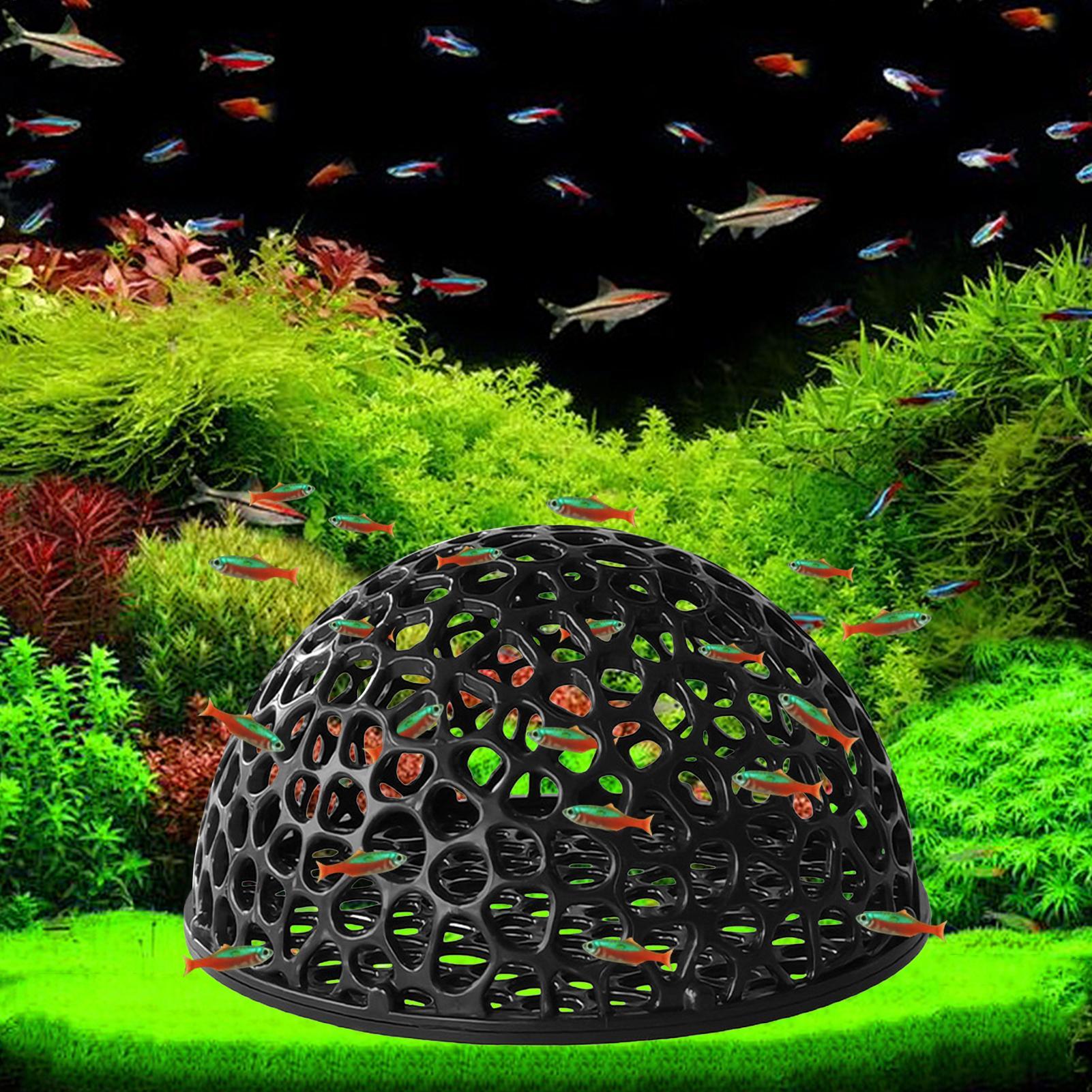 Aquarium Fish Games - Rumah Udang Akuarium Gua Mini Berpori