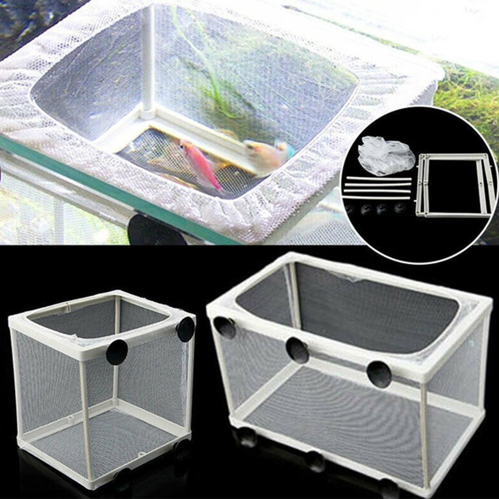 Aquarium Fish Jar - Kotak Isolasi Hatchery untuk Akuarium, Pembiakan