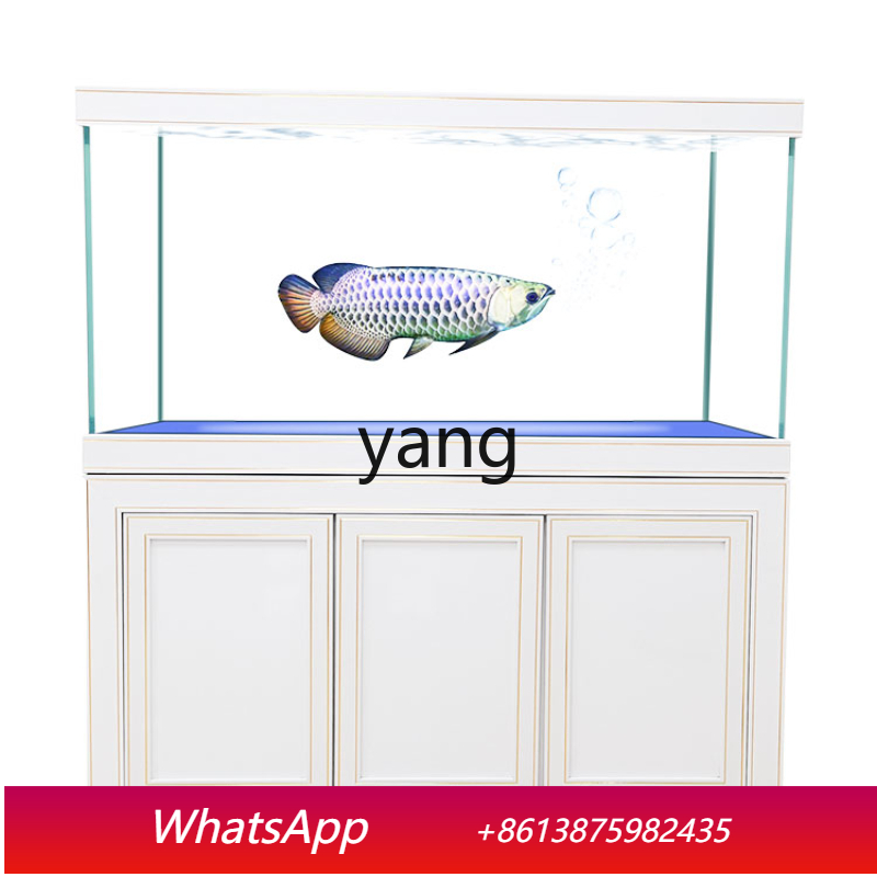 Aquarium Fish Dragon - Filter Dasar Akuarium Ekologis LH Super