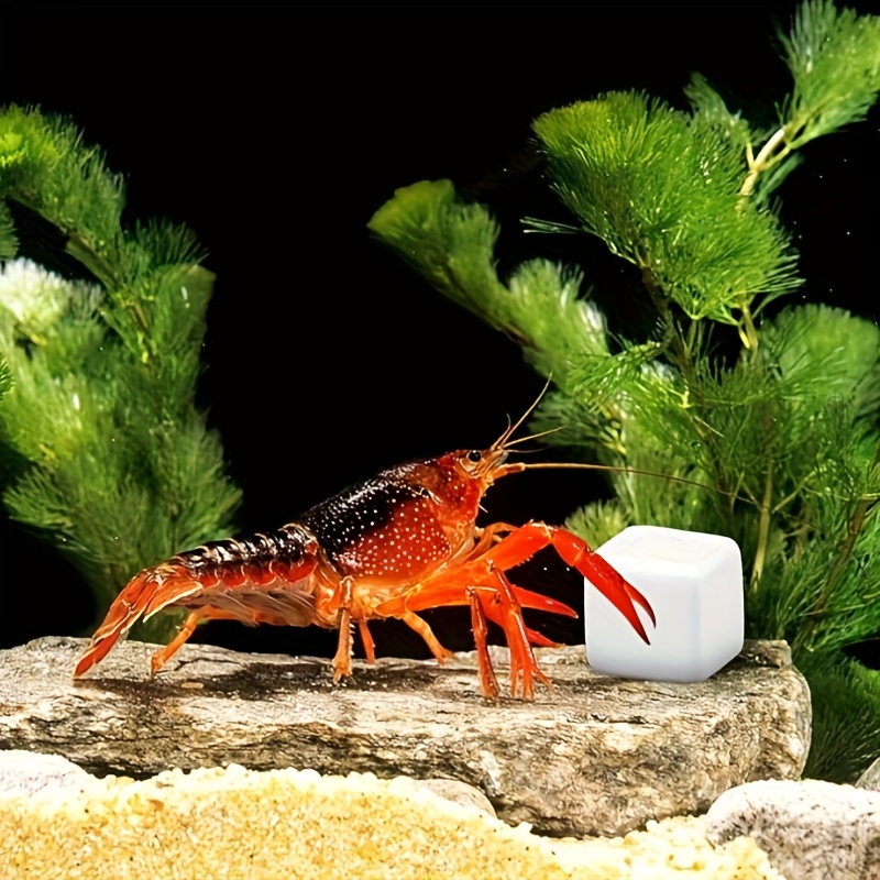 Aquarium Fish Games - 6 Pcs Blok Kalsium Mineral untuk