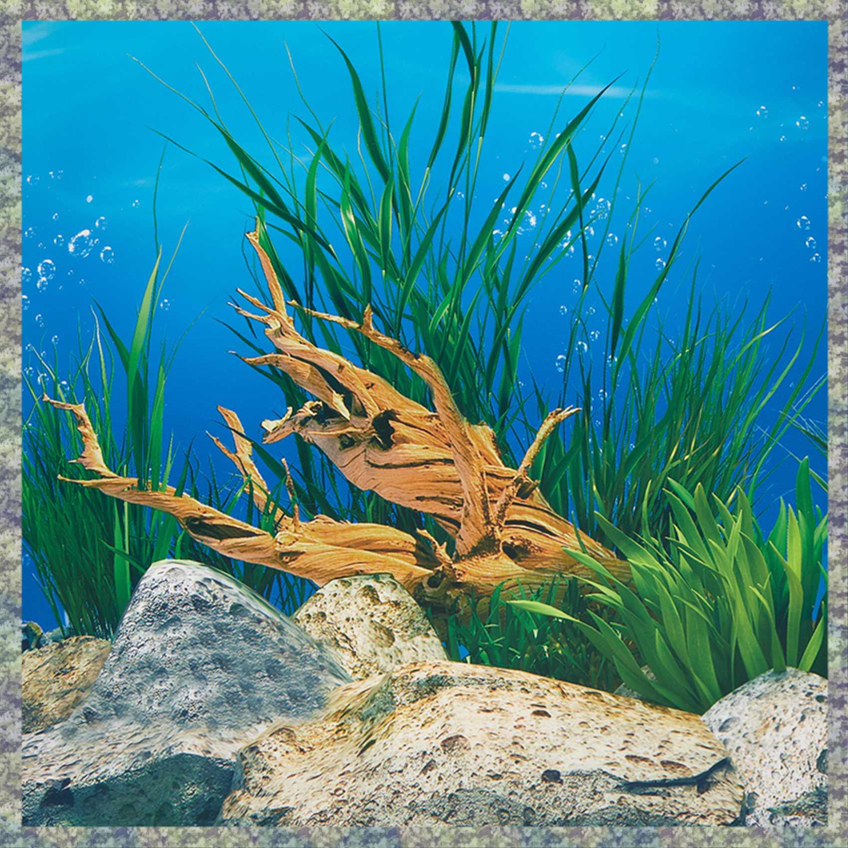 Aquarium Fish Wallpaper Hd - WON Kertas Latar Belakang Akuarium Gambar