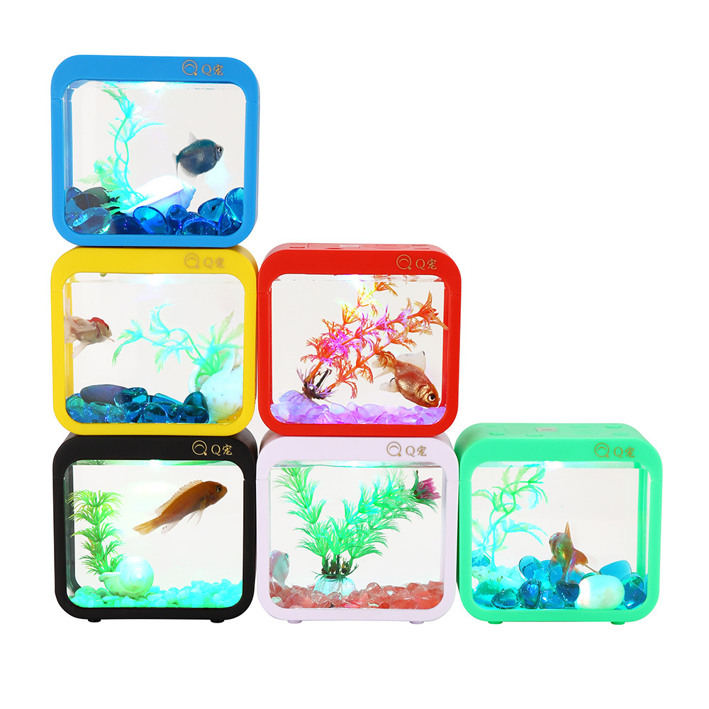 Kotak cupang kreatif penuh war - Aquarium Goldfish ulasan dan harga