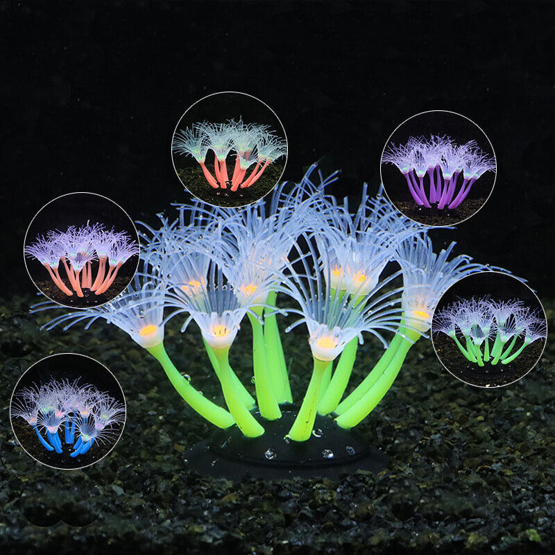 Silikon Bercahaya untuk Lanska - Aquarium Fish Games ulasan dan harga