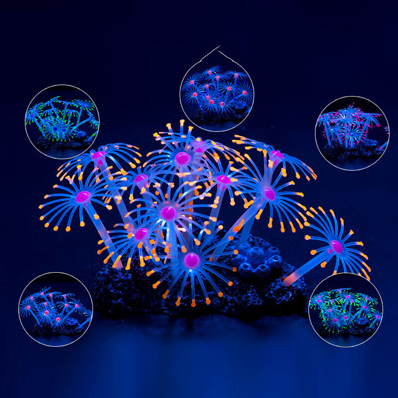 Silikon Bercahaya untuk Lanska - Aquarium Fish Games ulasan dan harga