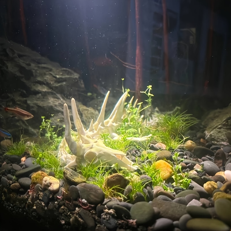 1 Buah Dekorasi Tulang Ikan Be - Aquarium Fish Games ulasan dan harga