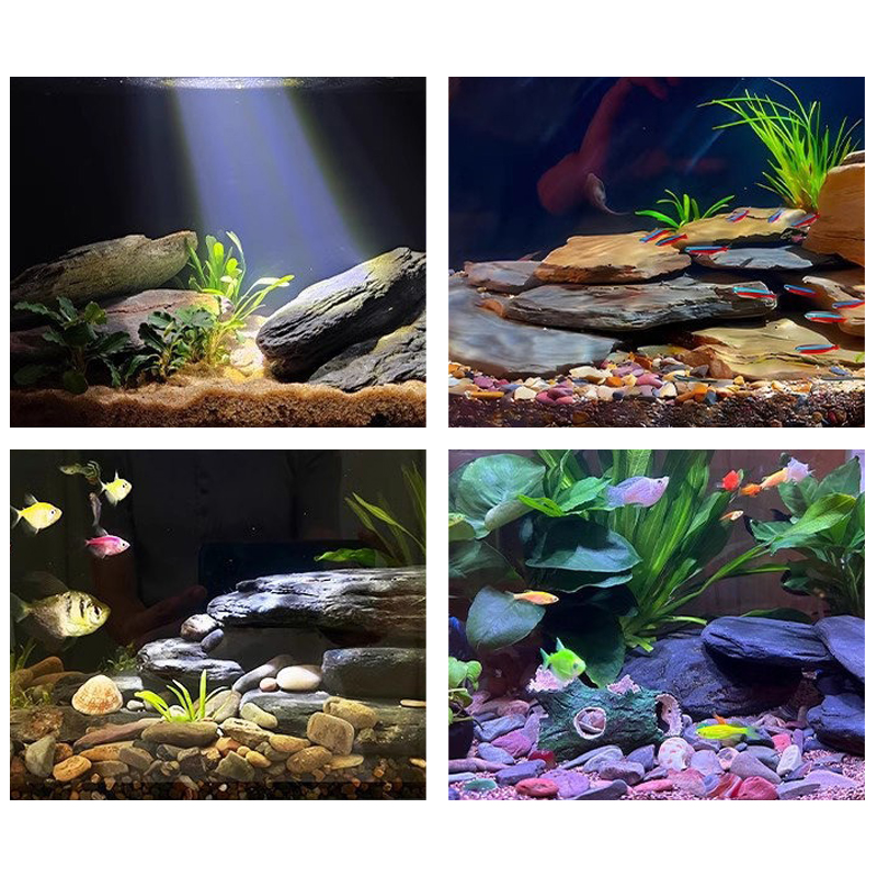 500/1000G Kit Batu Lanskap Tan - Aquarium Fish Types ulasan dan harga