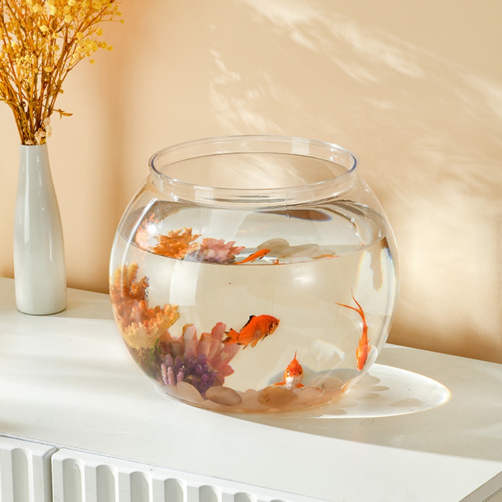 Akuarium Meja Transparan Bulat - Aquarium Fish Jar ulasan dan harga