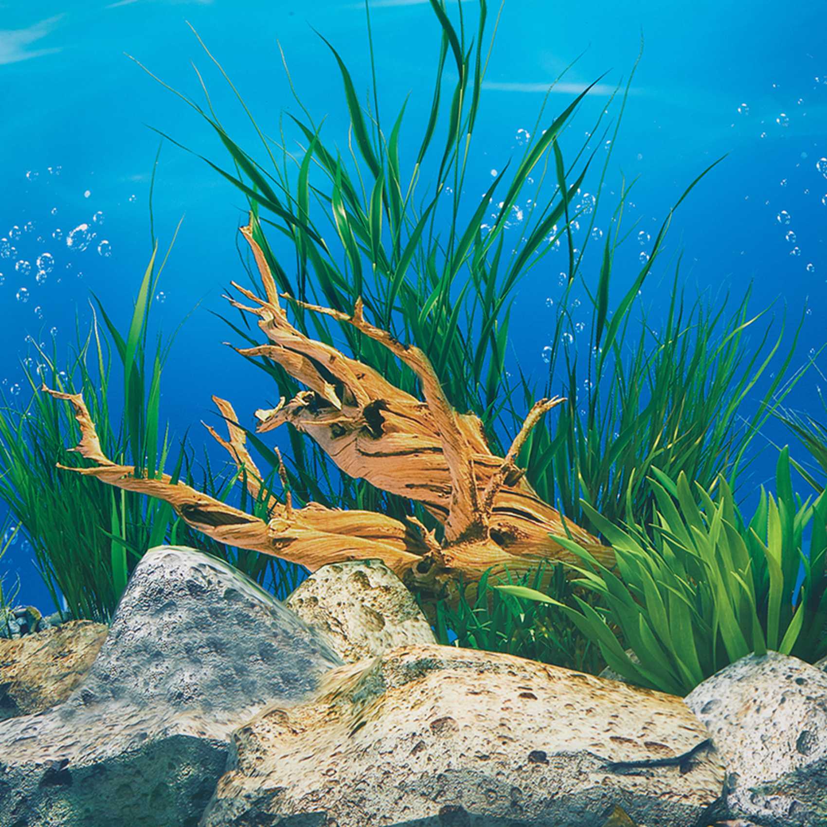 ABWR-Kertas Latar Belakang Aku - Aquarium Fish Wallpaper Hd ulasan dan harga