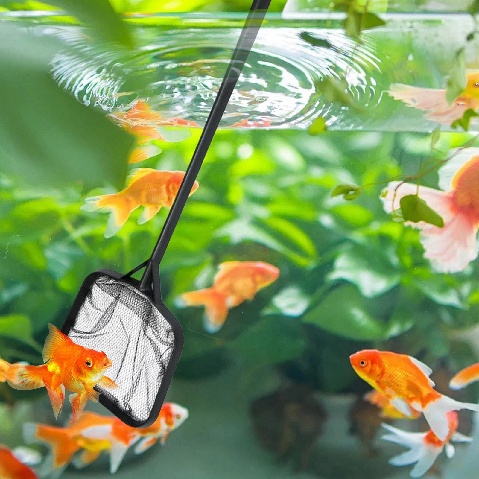 Jaring Kolam Renang untuk Memb - Aquarium Fish Accessories ulasan dan harga