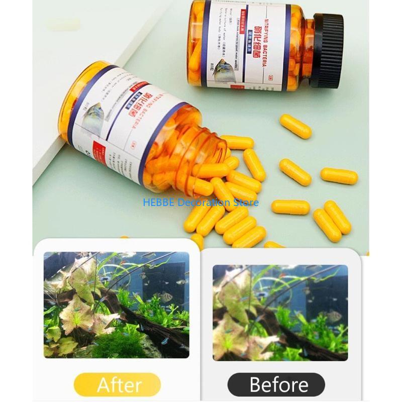 B0kc 30/80 PCS Kapsul bakteri  - Aquarium Fish Medicine ulasan dan harga