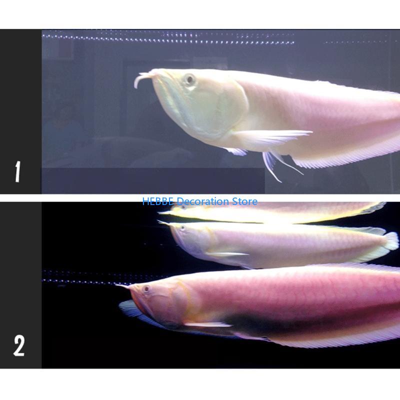 B0kc 30/80 PCS Kapsul bakteri  - Aquarium Fish Medicine ulasan dan harga