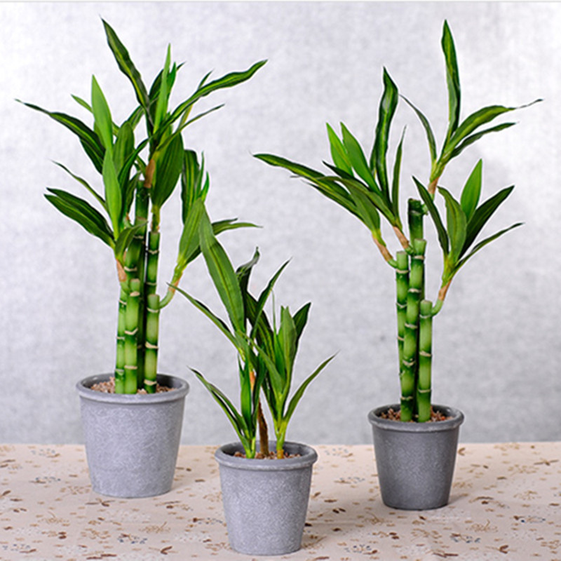 Baru 40Cm RFtificial Bambu Ber - Aquarium Fish Items ulasan dan harga