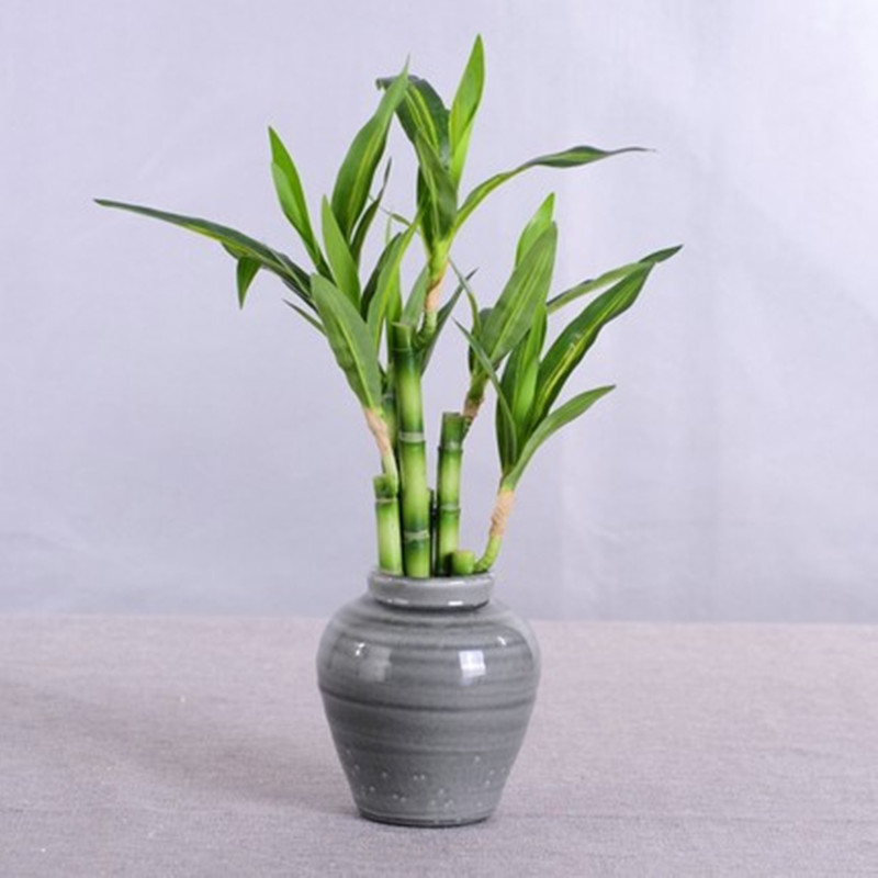 Baru 40Cm RFtificial Bambu Ber - Aquarium Fish Items ulasan dan harga