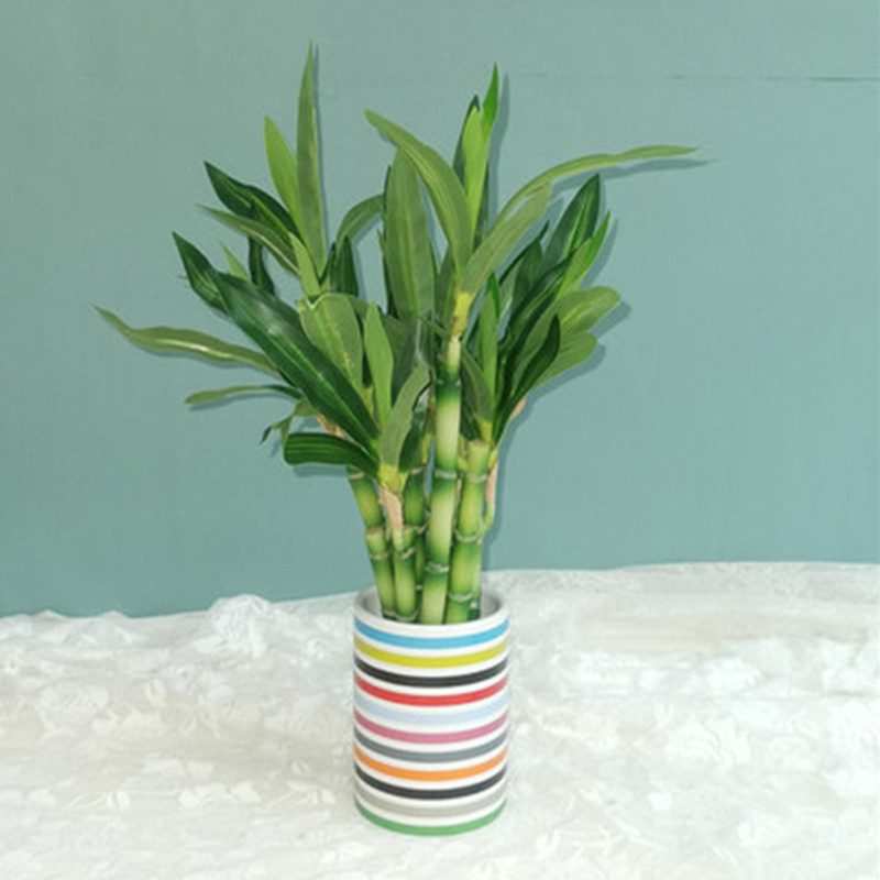 Baru 40Cm RFtificial Bambu Ber - Aquarium Fish Items ulasan dan harga