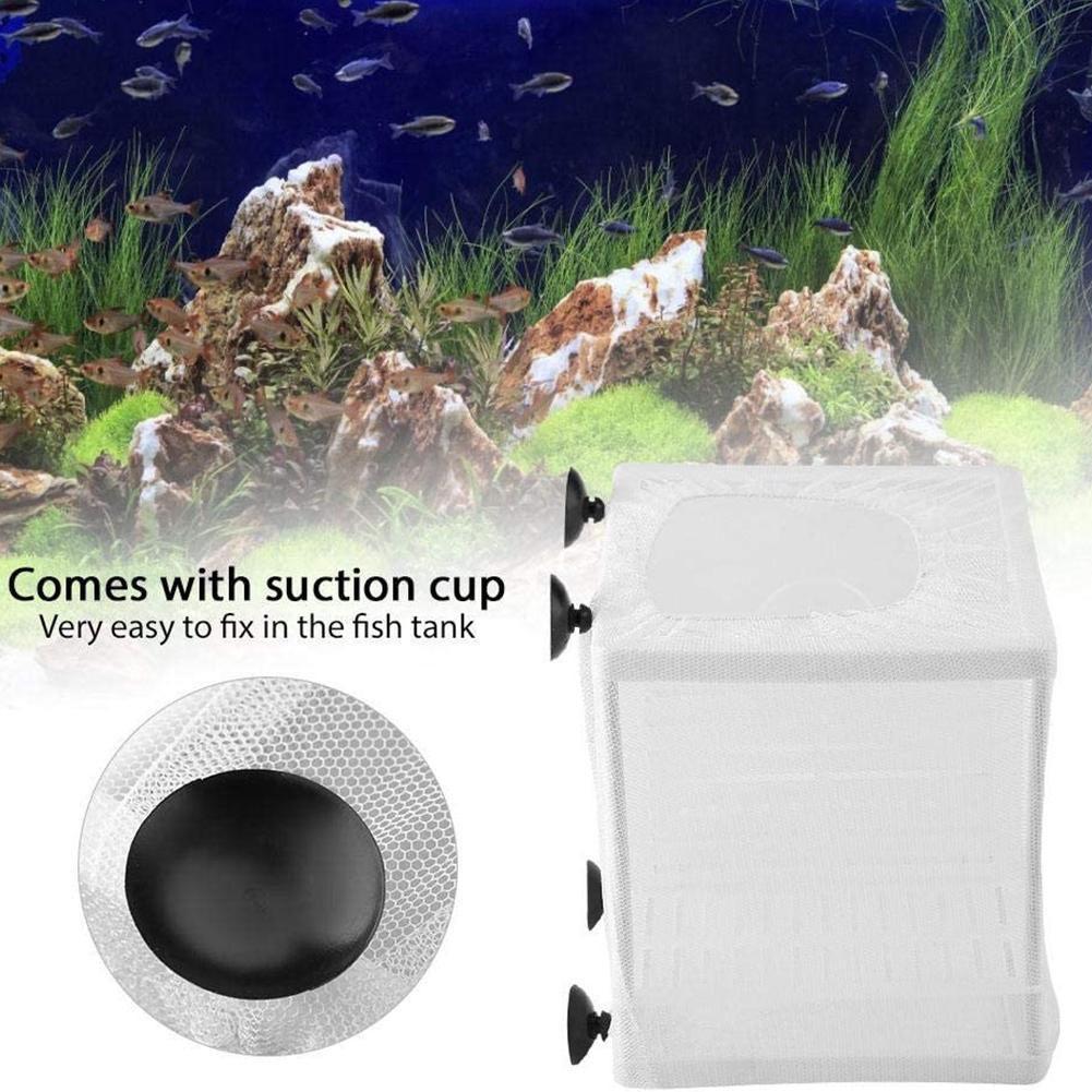 Kotak Pembiakan Ikan Akuarium  - Aquarium Fish Medicine ulasan dan harga