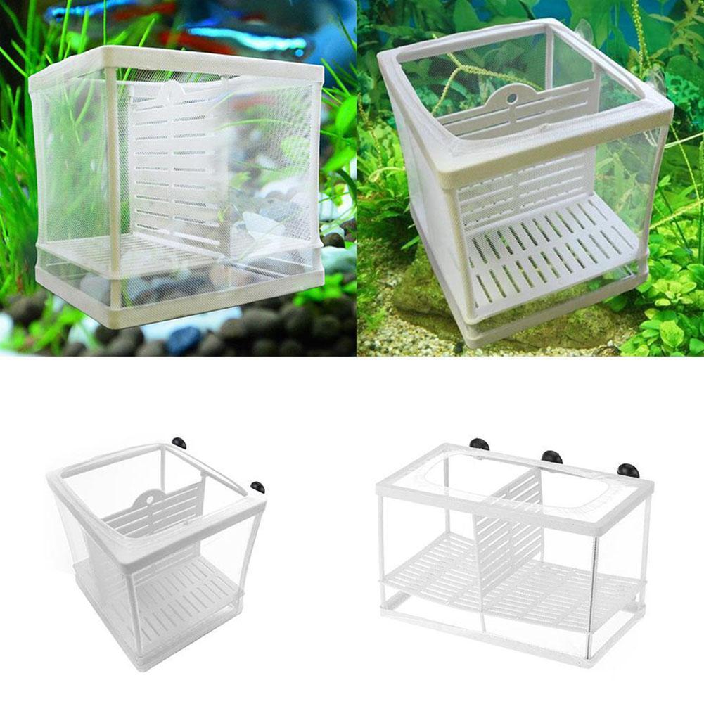Kotak Pembiakan Ikan Akuarium  - Aquarium Fish Medicine ulasan dan harga