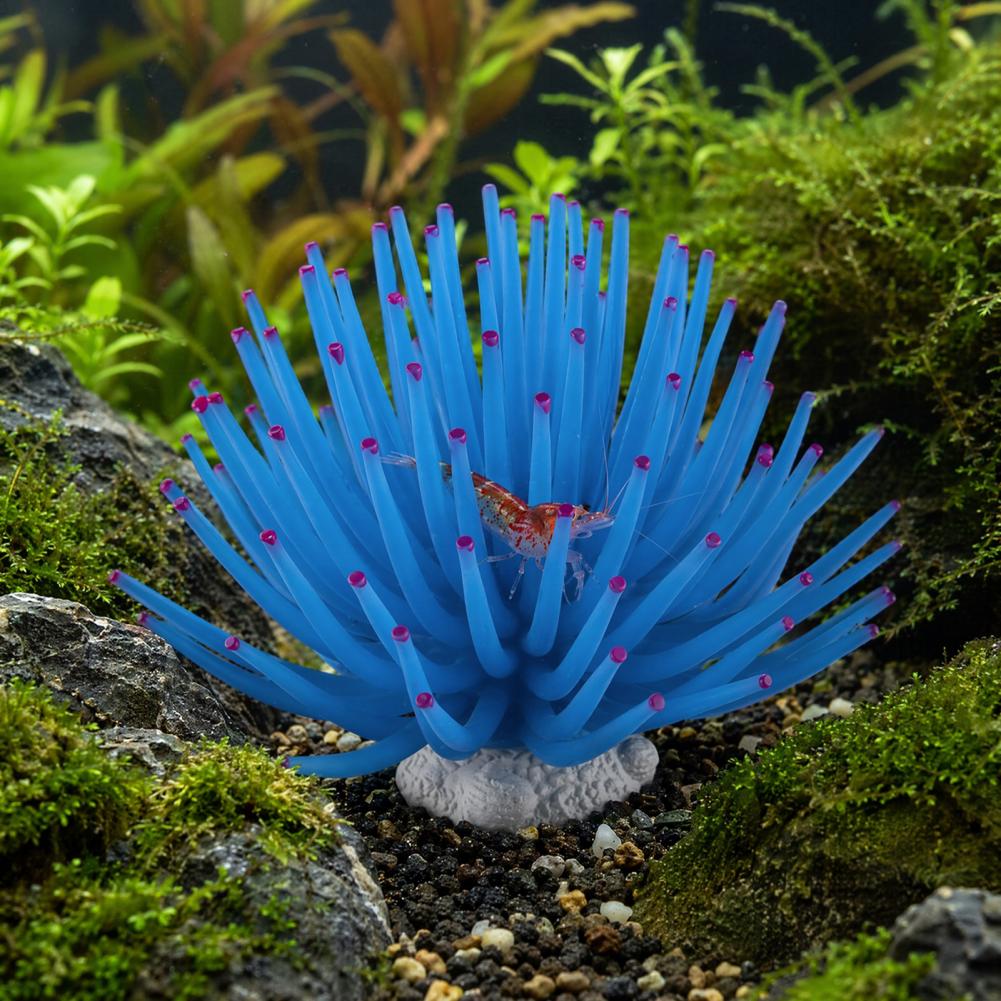 Ornamen Akuarium Silikon Anemo - Aquarium Fish Accessories ulasan dan harga