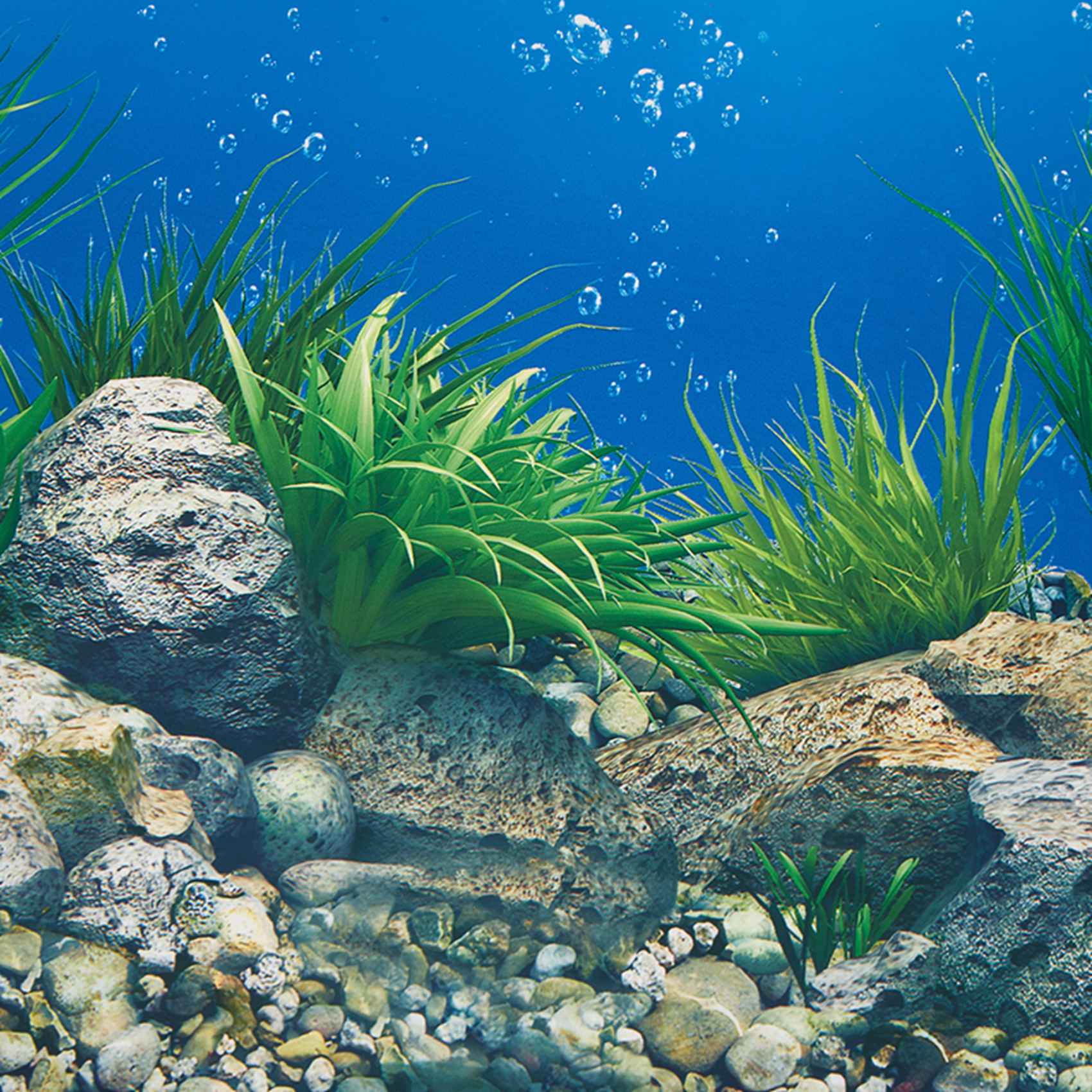 A77I Kertas Latar Belakang Aku - Aquarium Fish Wallpaper Hd ulasan dan harga