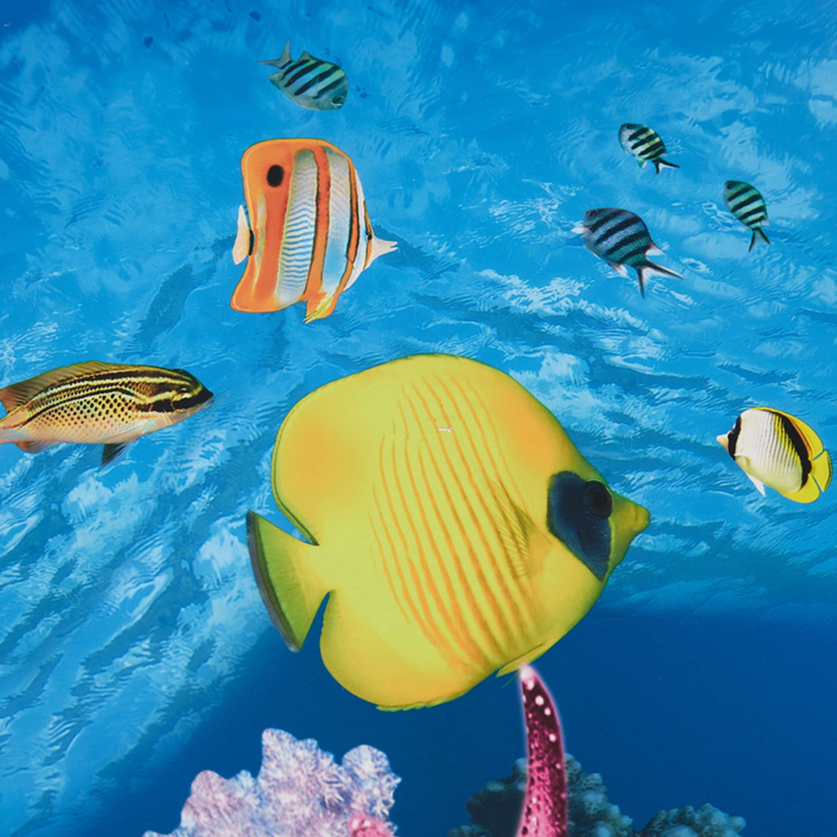 A77I Kertas Latar Belakang Aku - Aquarium Fish Wallpaper Hd ulasan dan harga