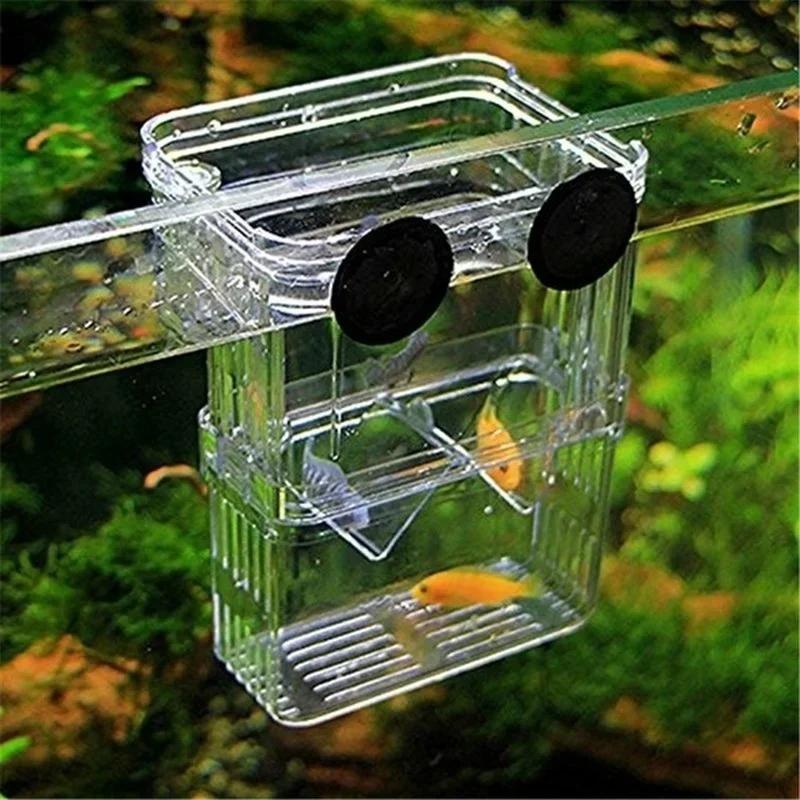Kotak Isolasi Pembiakan Jernih - Aquarium Fish Medicine ulasan dan harga