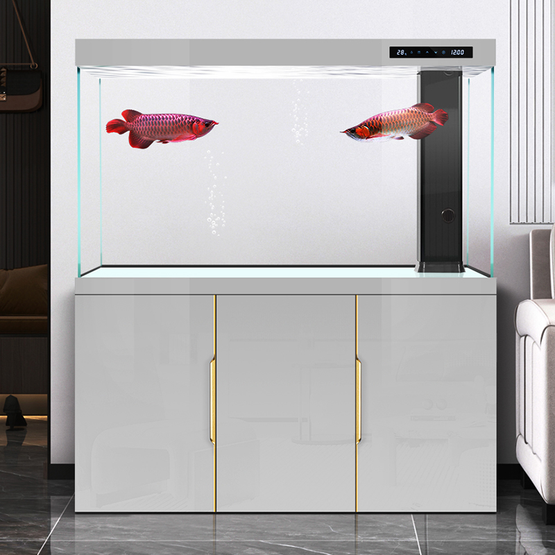 Akuarium ruang tamu 2025 kaca  - Aquarium Fish Dragon ulasan dan harga