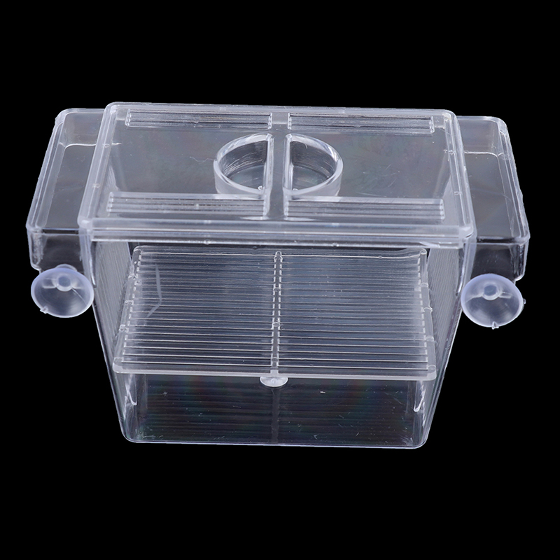 Akuarium tangki ikan Guppy tem - Aquarium Fish Medicine ulasan dan harga