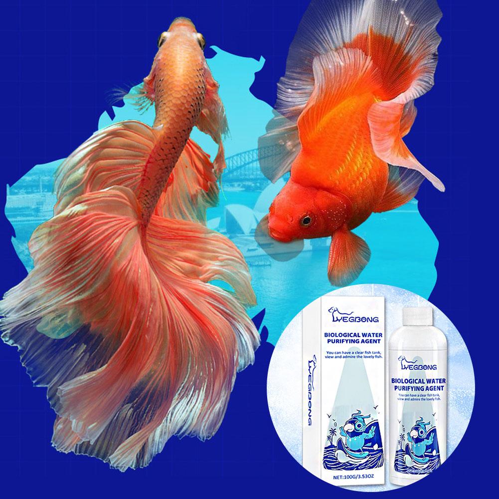 Pendingin air akuarium, kondis - Aquarium Fish Medicine ulasan dan harga