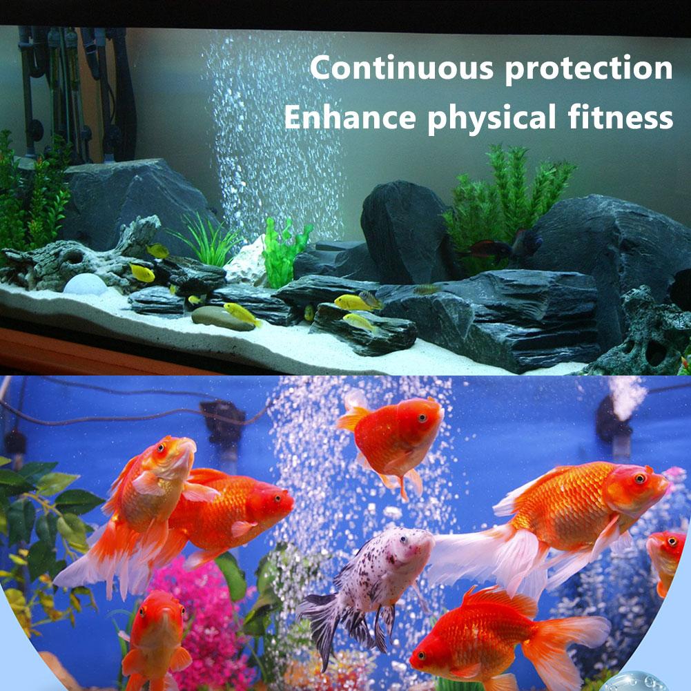 Pendingin air akuarium, kondis - Aquarium Fish Medicine ulasan dan harga