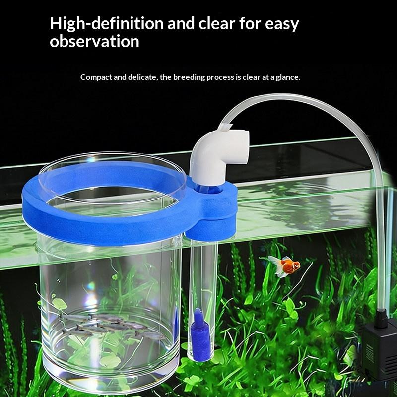 Kotak Pembenihan Ikan Akrilik  - Aquarium Fish Jar ulasan dan harga