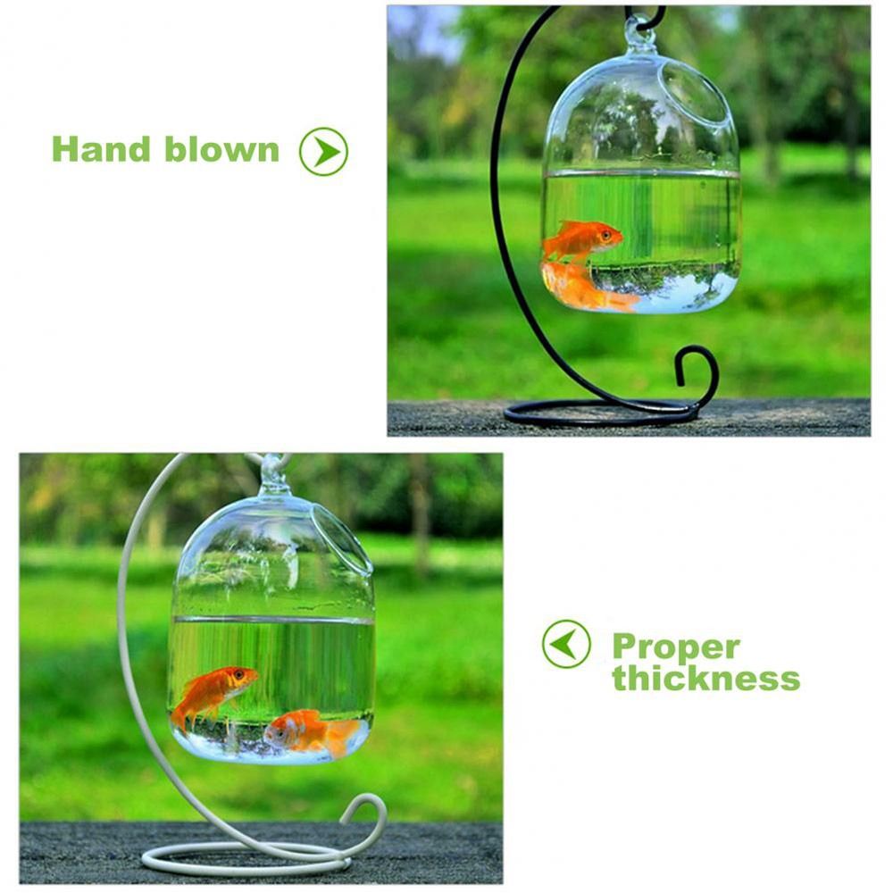 Dekorasi Akuarium Gantung Dind - Aquarium Fish Jar ulasan dan harga