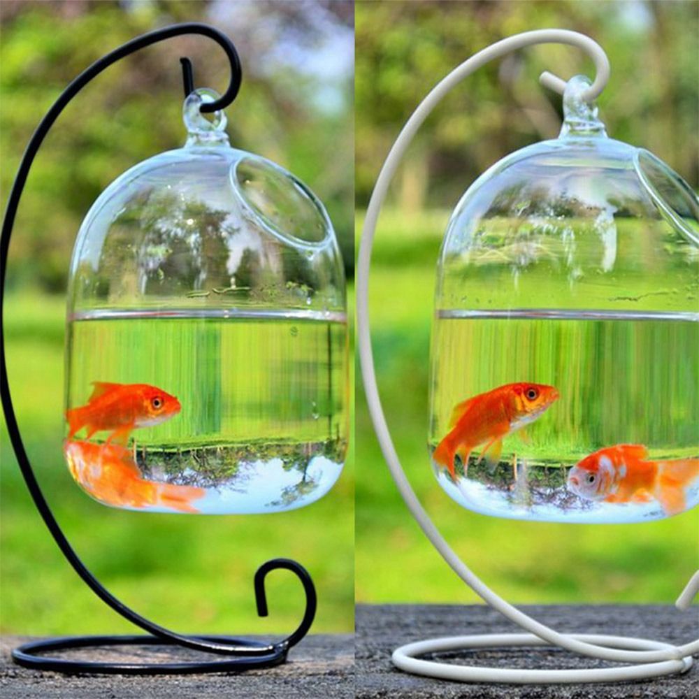 Dekorasi Akuarium Gantung Dind - Aquarium Fish Jar ulasan dan harga