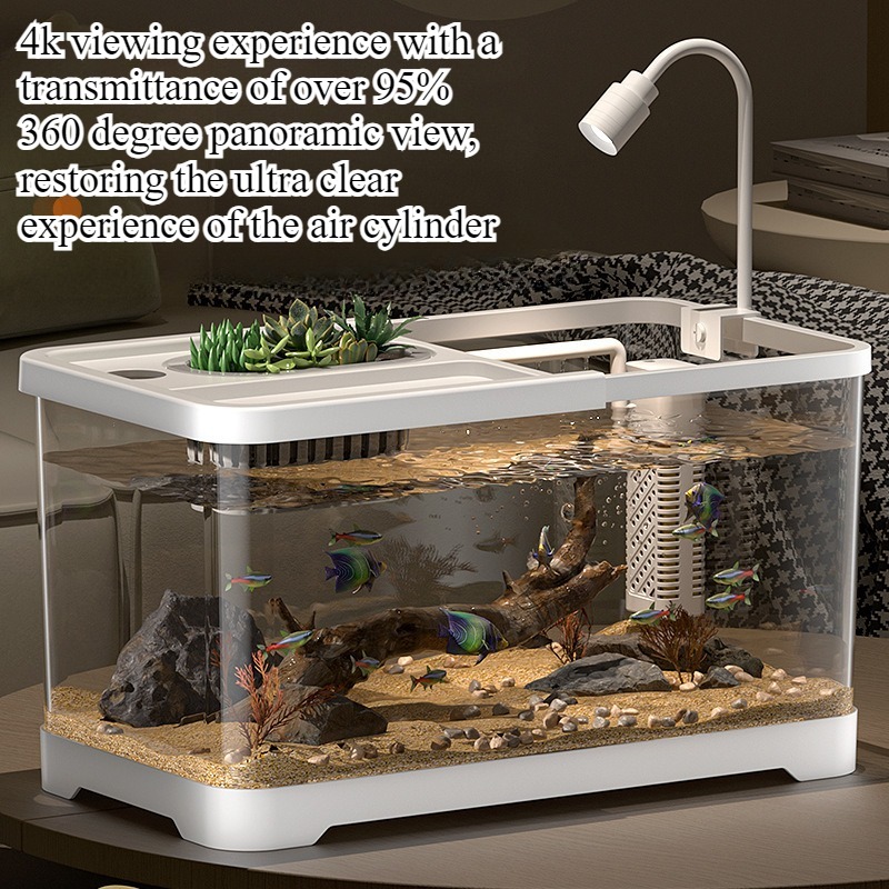 Akuarium rumah tangga, akuariu - Aquarium Goldfish ulasan dan harga