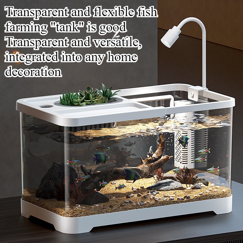 Akuarium rumah tangga, akuariu - Aquarium Goldfish ulasan dan harga