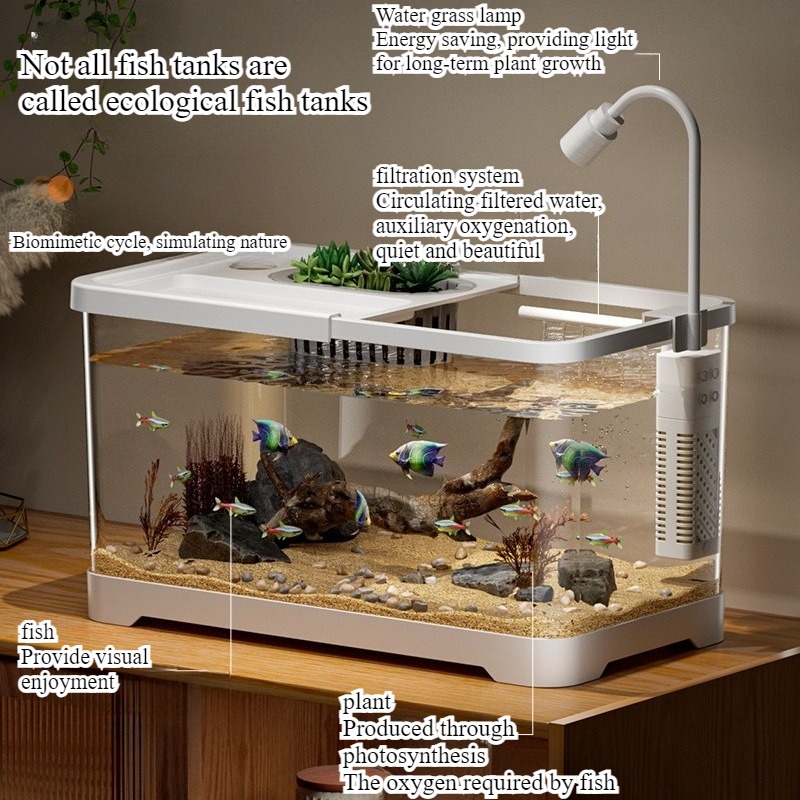 Akuarium rumah tangga, akuariu - Aquarium Goldfish ulasan dan harga