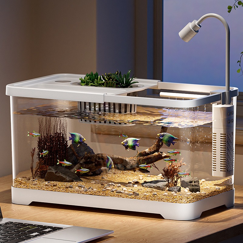 Akuarium rumah tangga, akuariu - Aquarium Goldfish ulasan dan harga